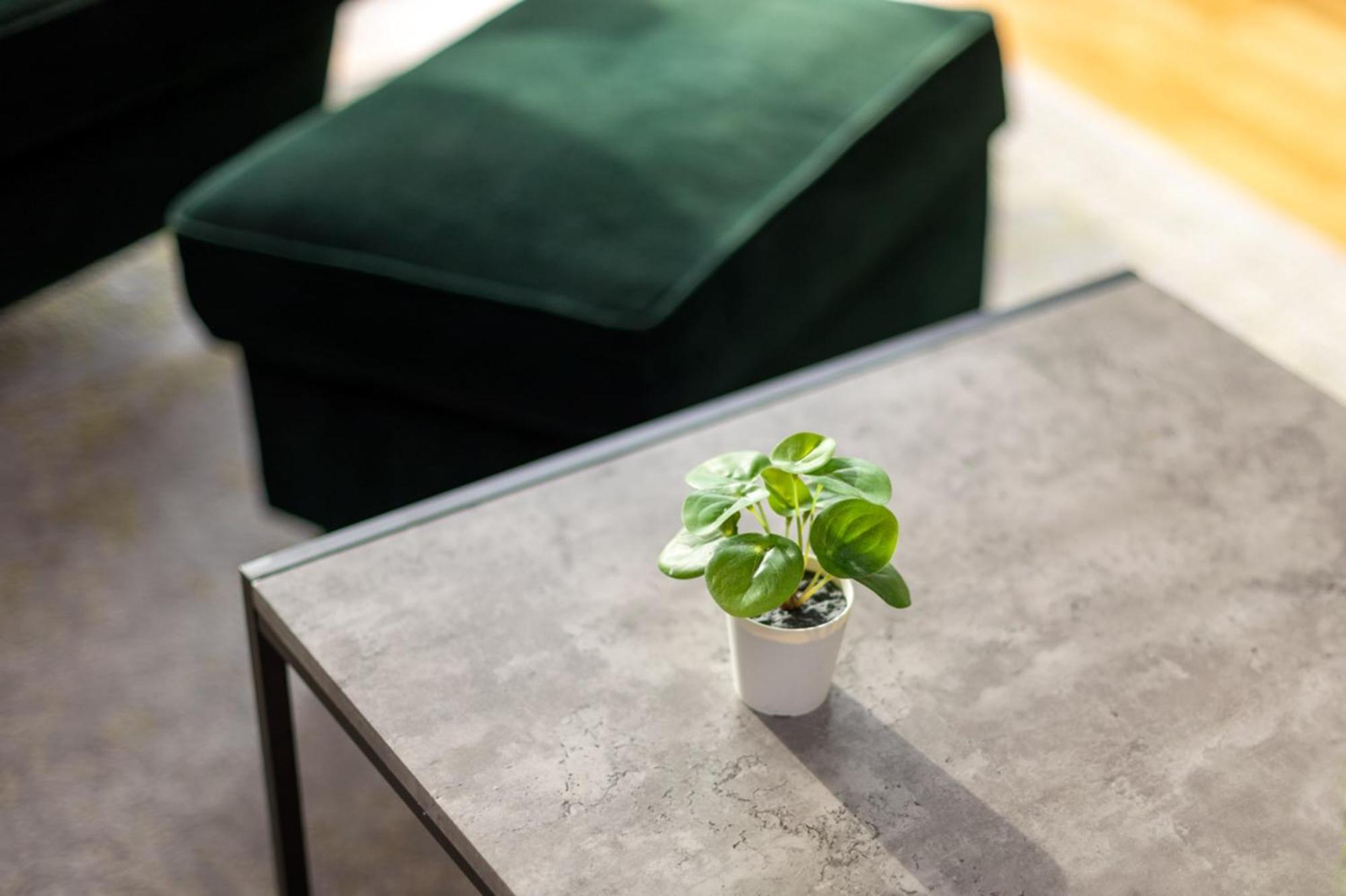 Modern Chiswick Appartement