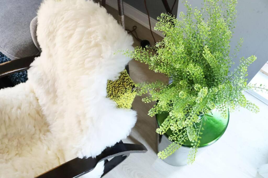 Designer In The Heart Of Shoreditch London
