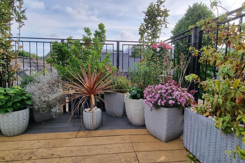 Highgate Maisonette With Roof Terrace Leilighet