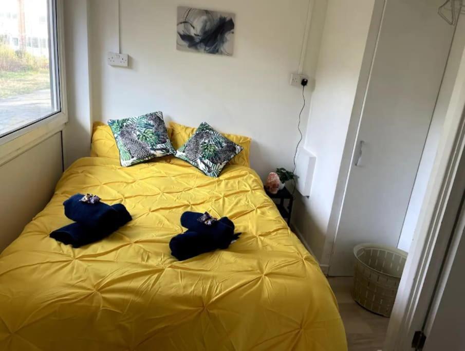 Spacious 2 Bedroom In Hoxton Leilighet London