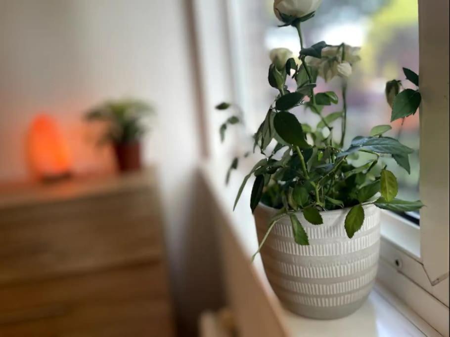 Spacious 2 Bedroom In Hoxton Leilighet