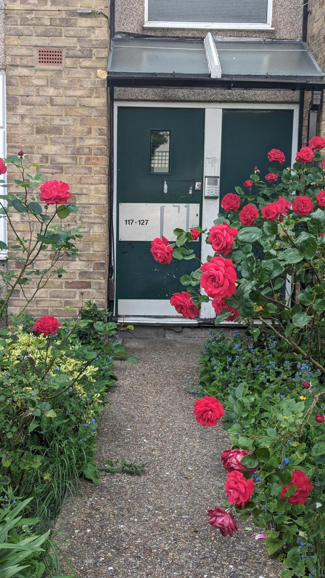 Homestay Beautiful Double Bedroom In Shared Flat Near Olympic Park In Stratford *