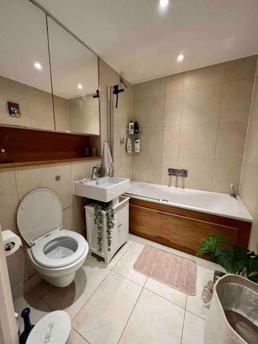 Apartment 1 Bedroom Modern Flat In East 15m To Bank & C Wharf