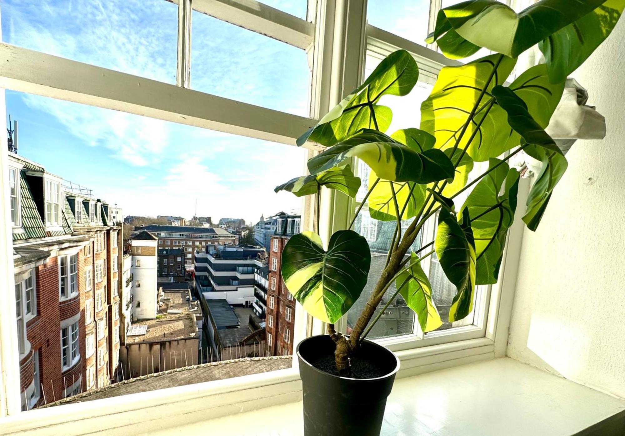 Appartement The Prince's Palace Central Queensway By Wild *