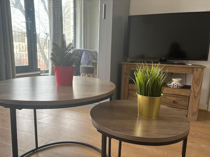 Cosy Near Greenwich Park Appartement Londen