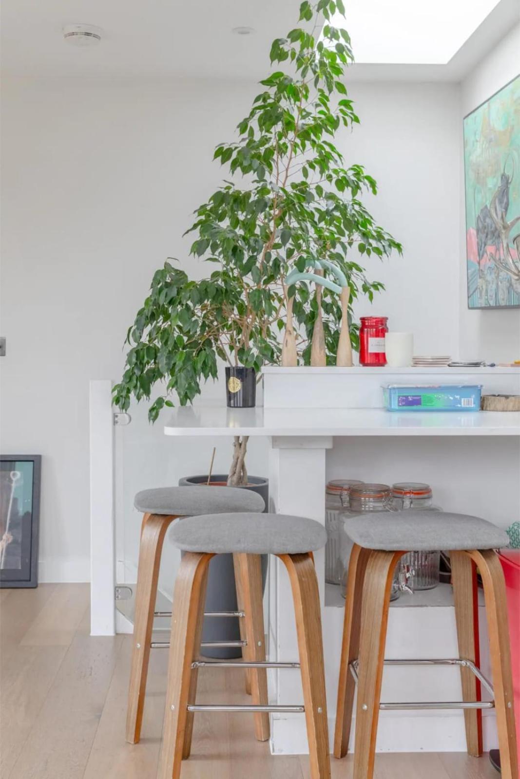 Apartment Sleek & Spacious 2bd Flat - Clapham London