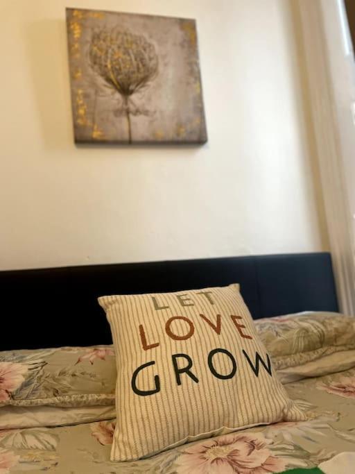 Flat In Heart Of Apartment *