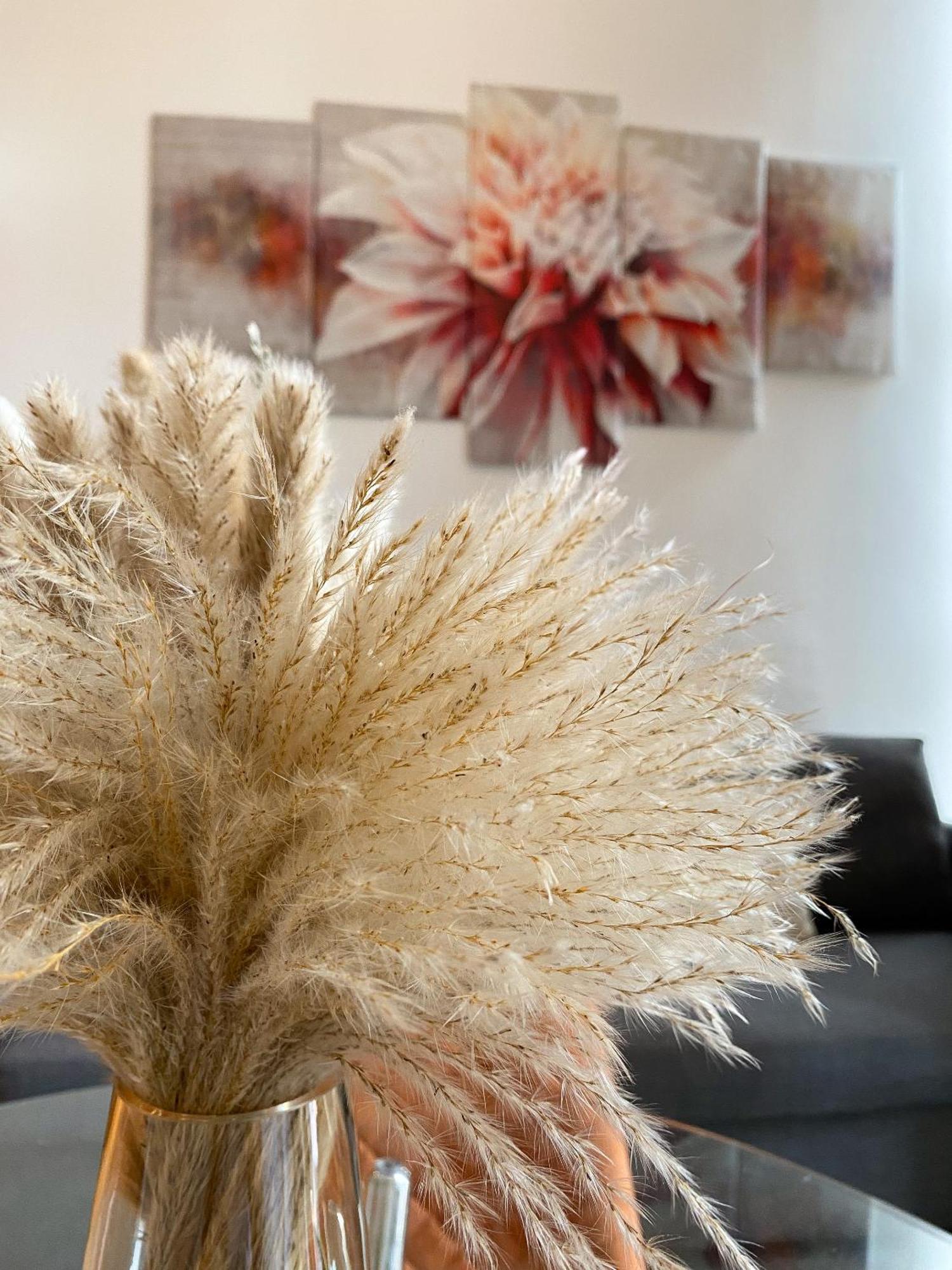 Modern Close To Hyde Park Apartment