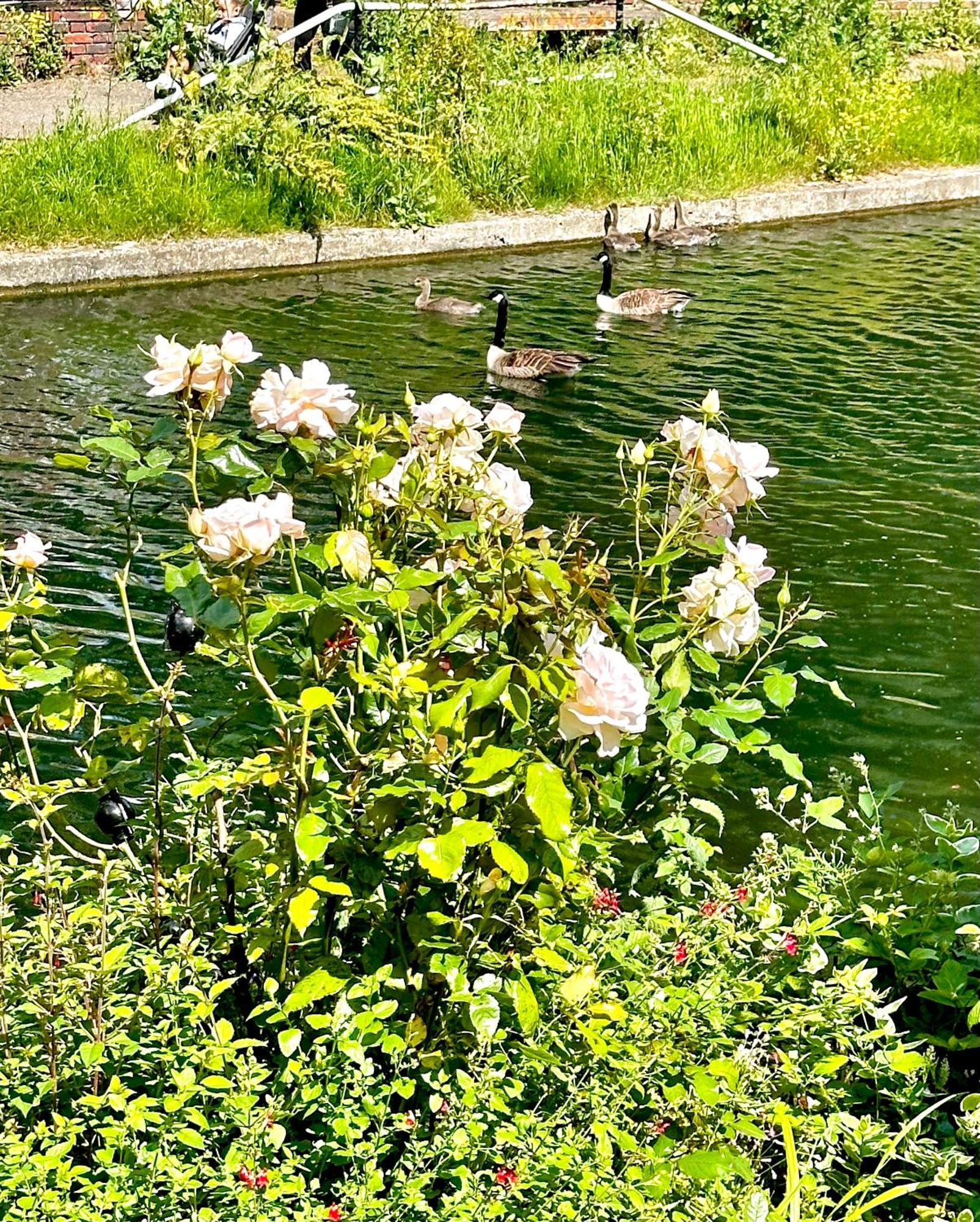 Amazing Location - Of London- 2 Bedroom Stunning Canal View House With Private Garden,parking & Balcony Apartment London
