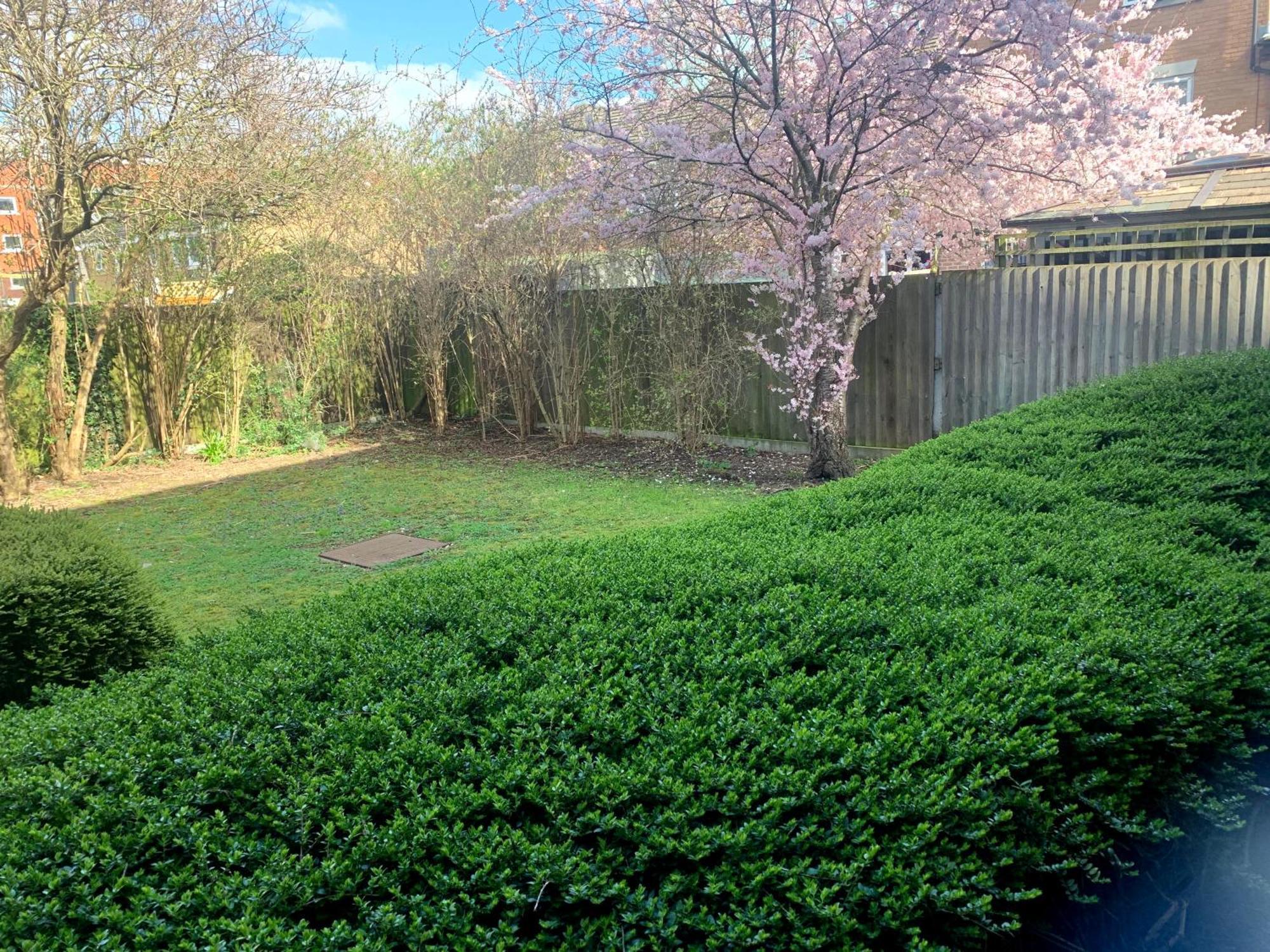 Lovely & Spacious Flat-deptford Creekside Apartment *