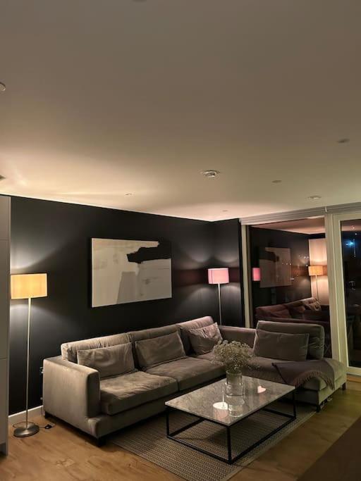Luxury 2 Bed 2 Bath Cntrl Apartment
