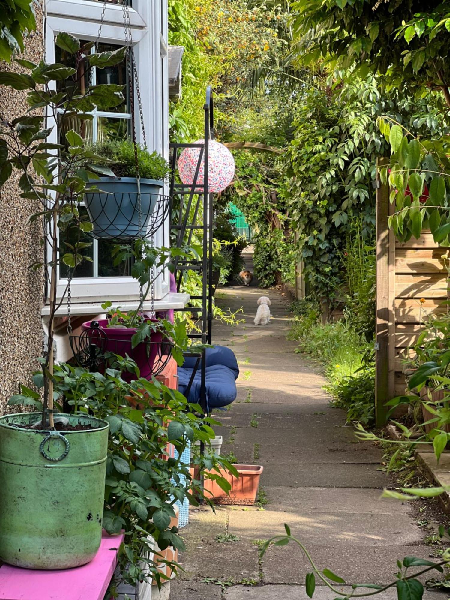 Unique Beautiful Peaceful Conservation Area - 20m To Town * Londres