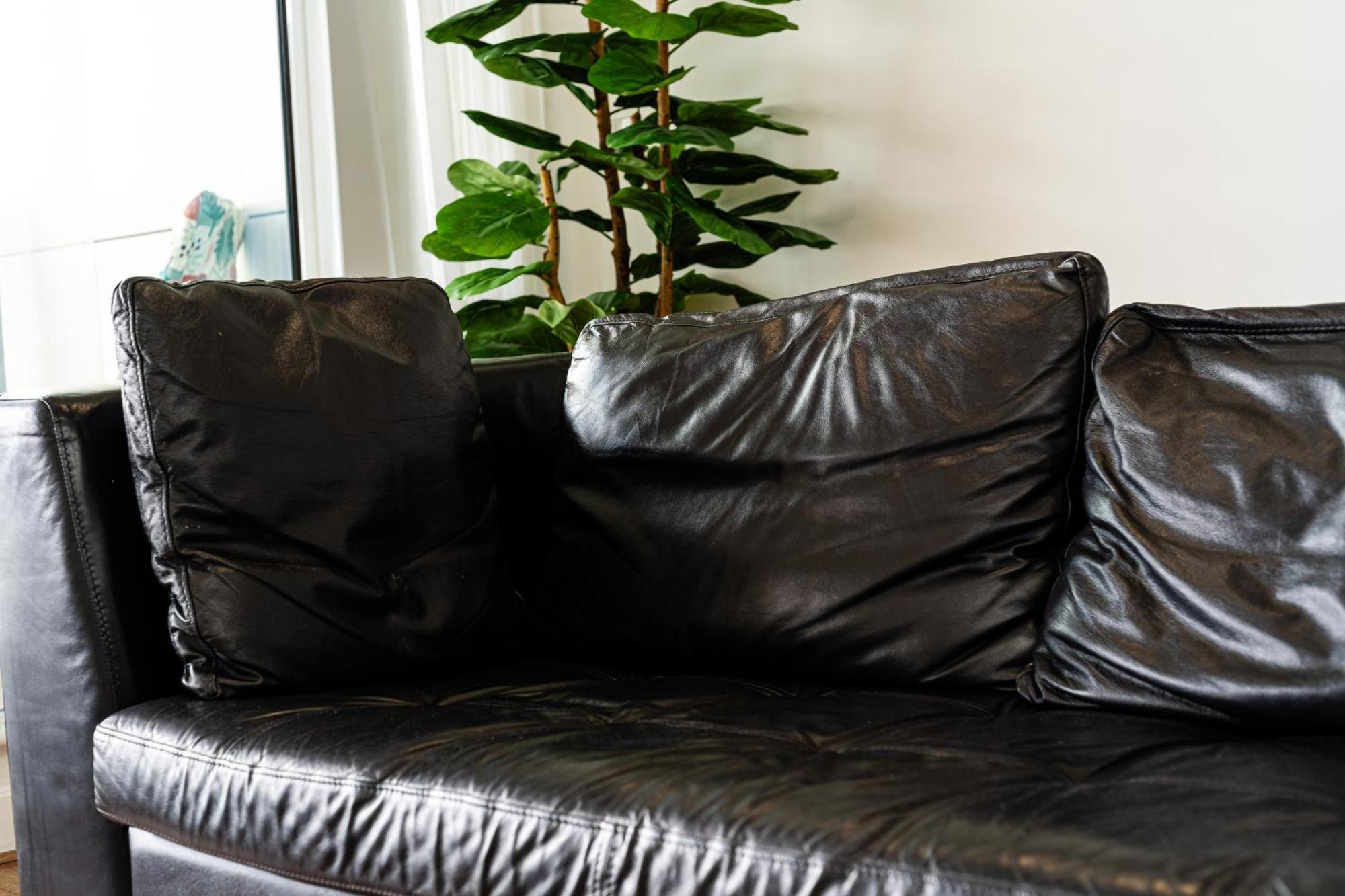 Excel Waterfront Serenity Appartement