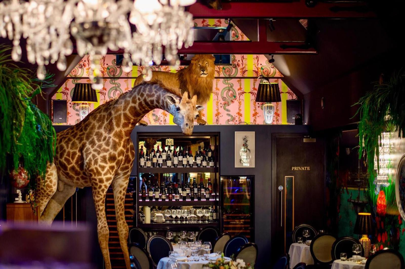 Hotel Hux Hotel, Kensington 4*