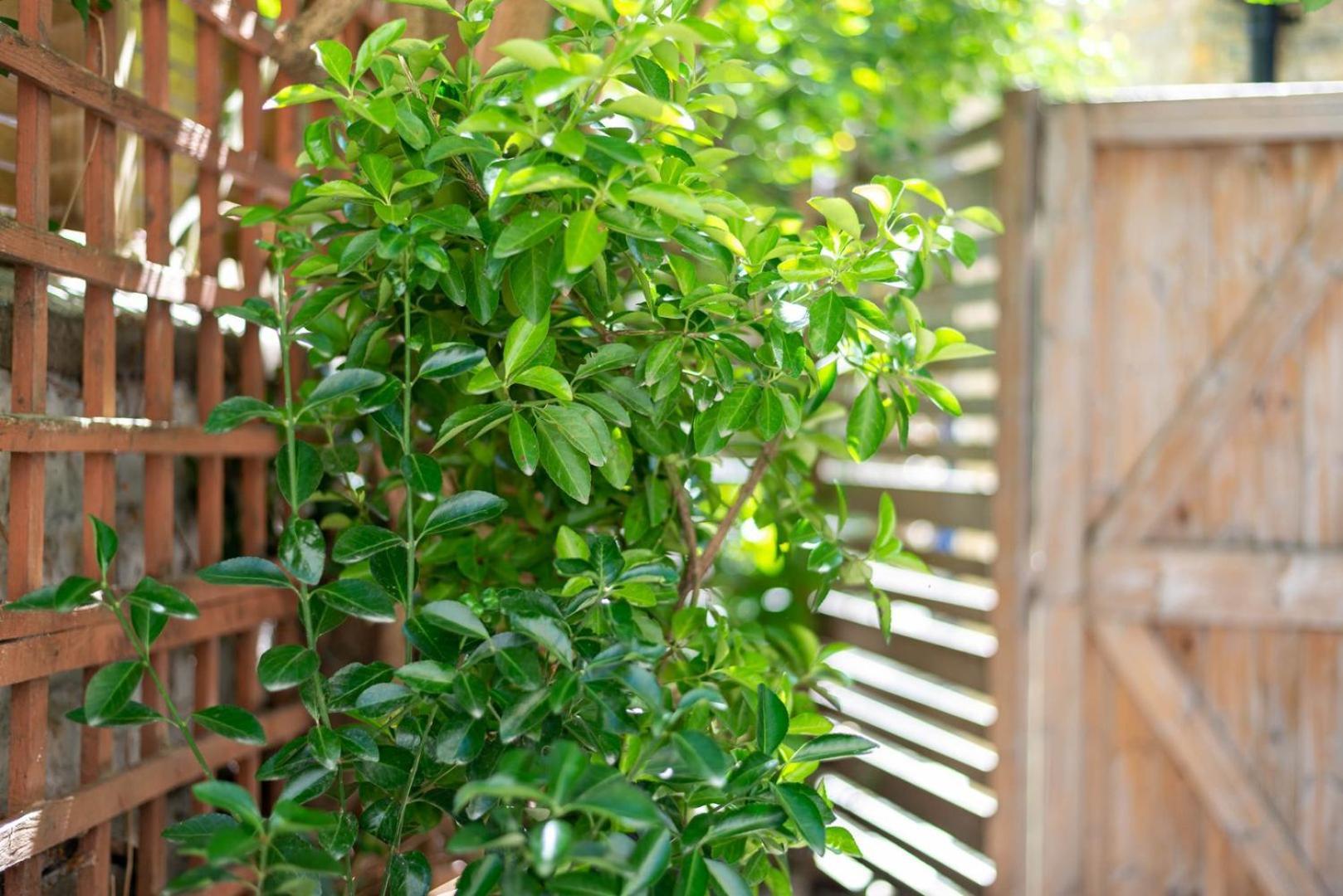 Guestready - Micro Garden Flat In Fulham Apartment *