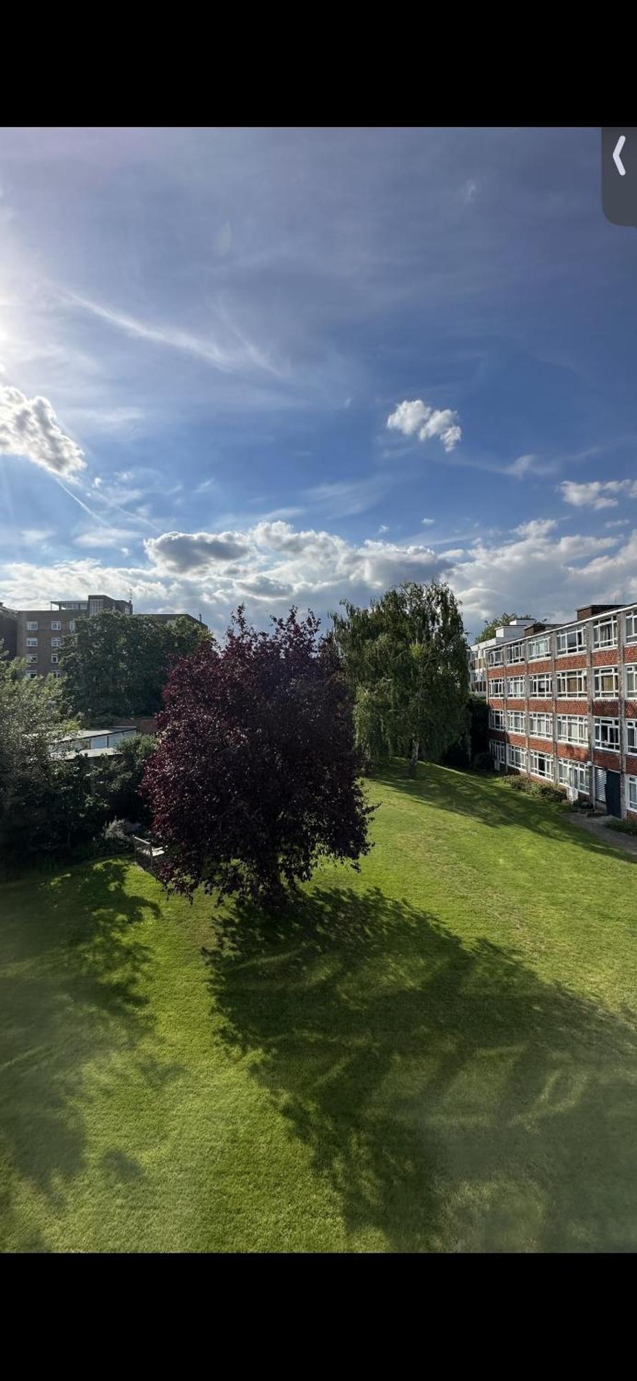 Leafy Sanctuary In Putney Apartment London