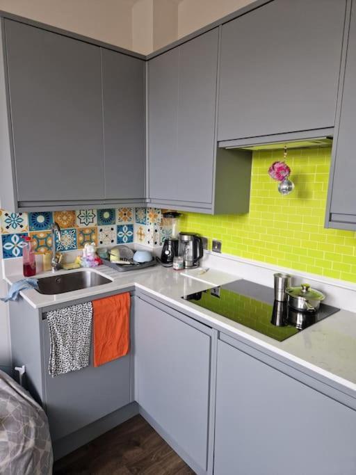 Apartment Stylish And Spacious New Flat London