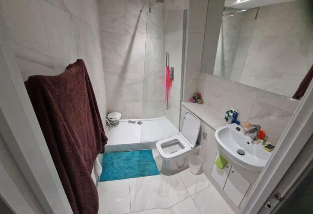 Apartment Stylish And Spacious New Flat London