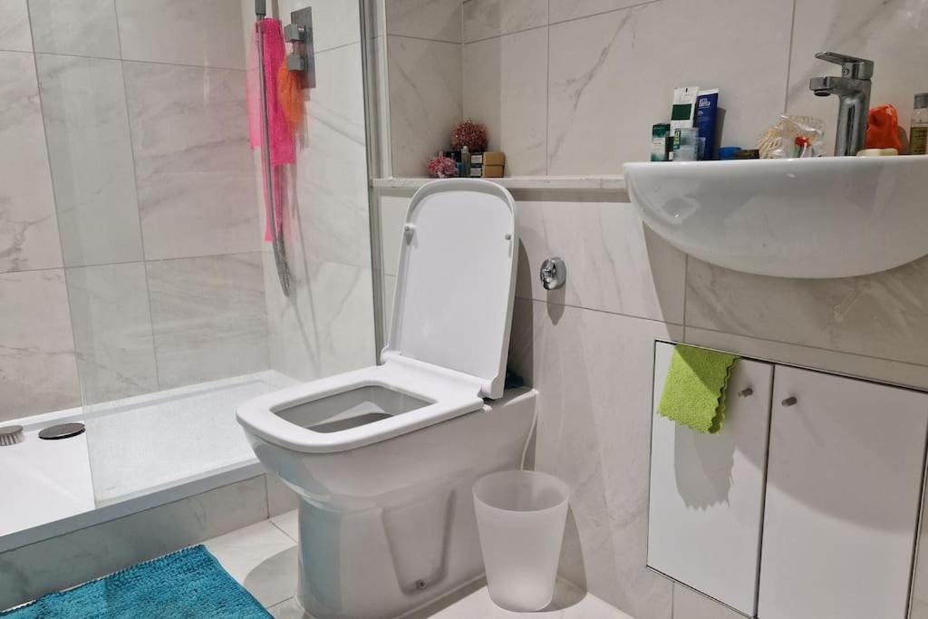 Stylish And Spacious New Flat Apartment