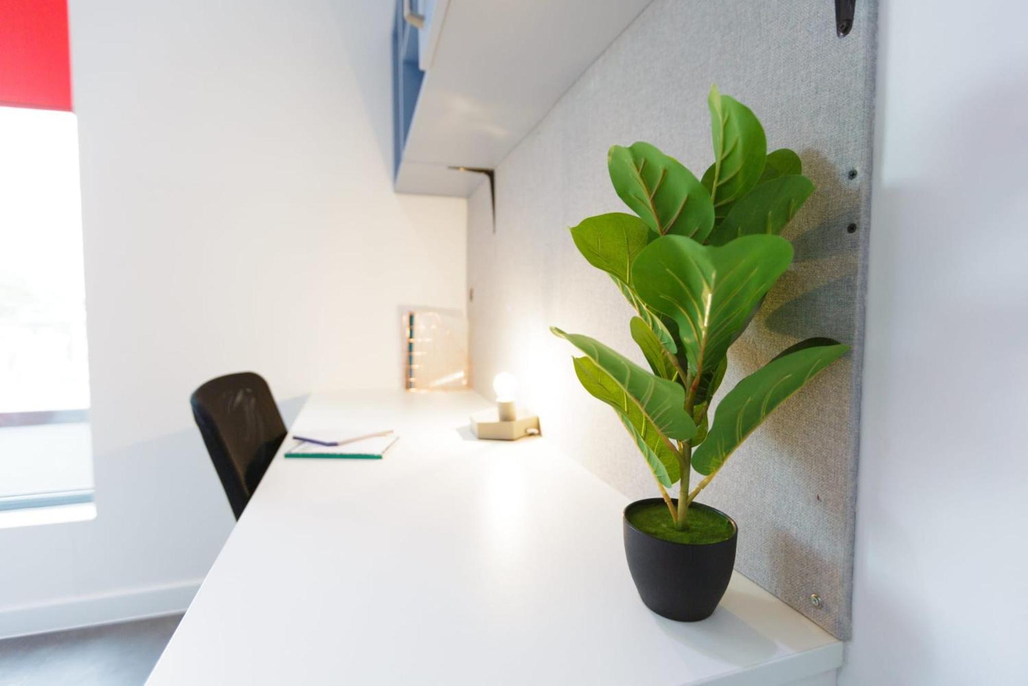 Cosy And Ensuite Bedrooms At New Cross In Leilighet London