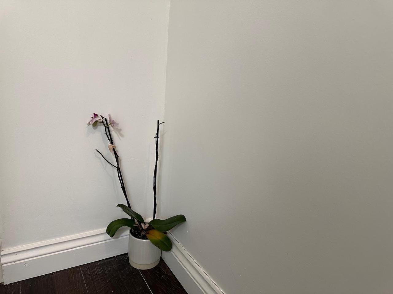 Stylish 1br W Fireplace & High-speed Wifi Apartment