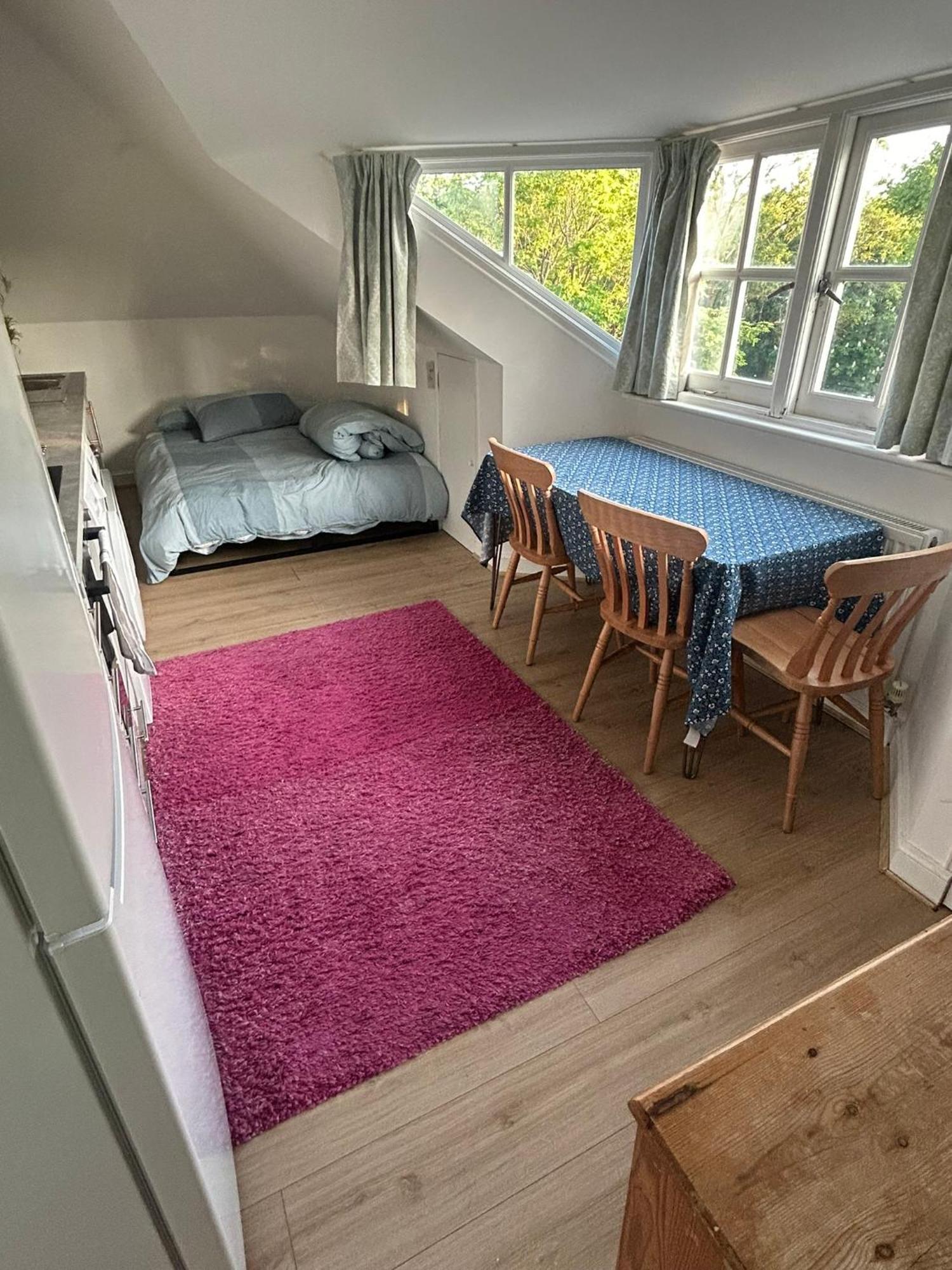 Cosy Attic Flat With Views Apartment London
