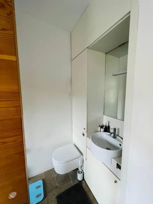Apartment Stunning With Summer Cabin, Garden And Terrace London