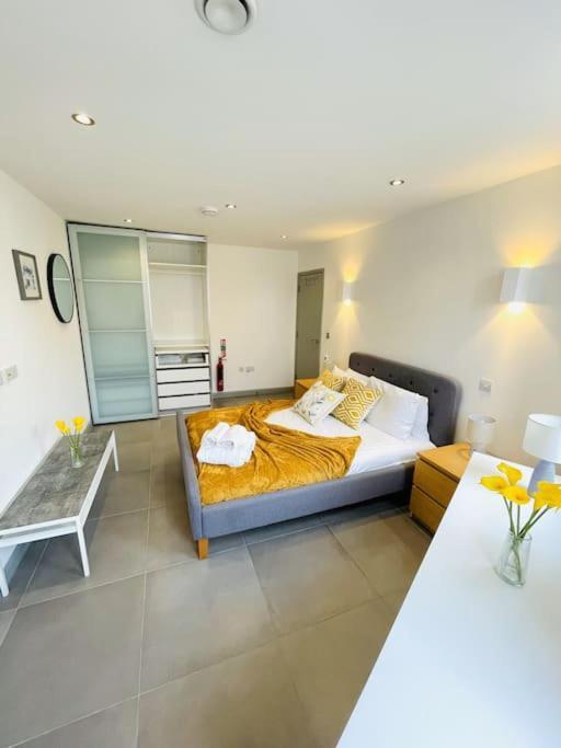 Apartment Ramsay Express London