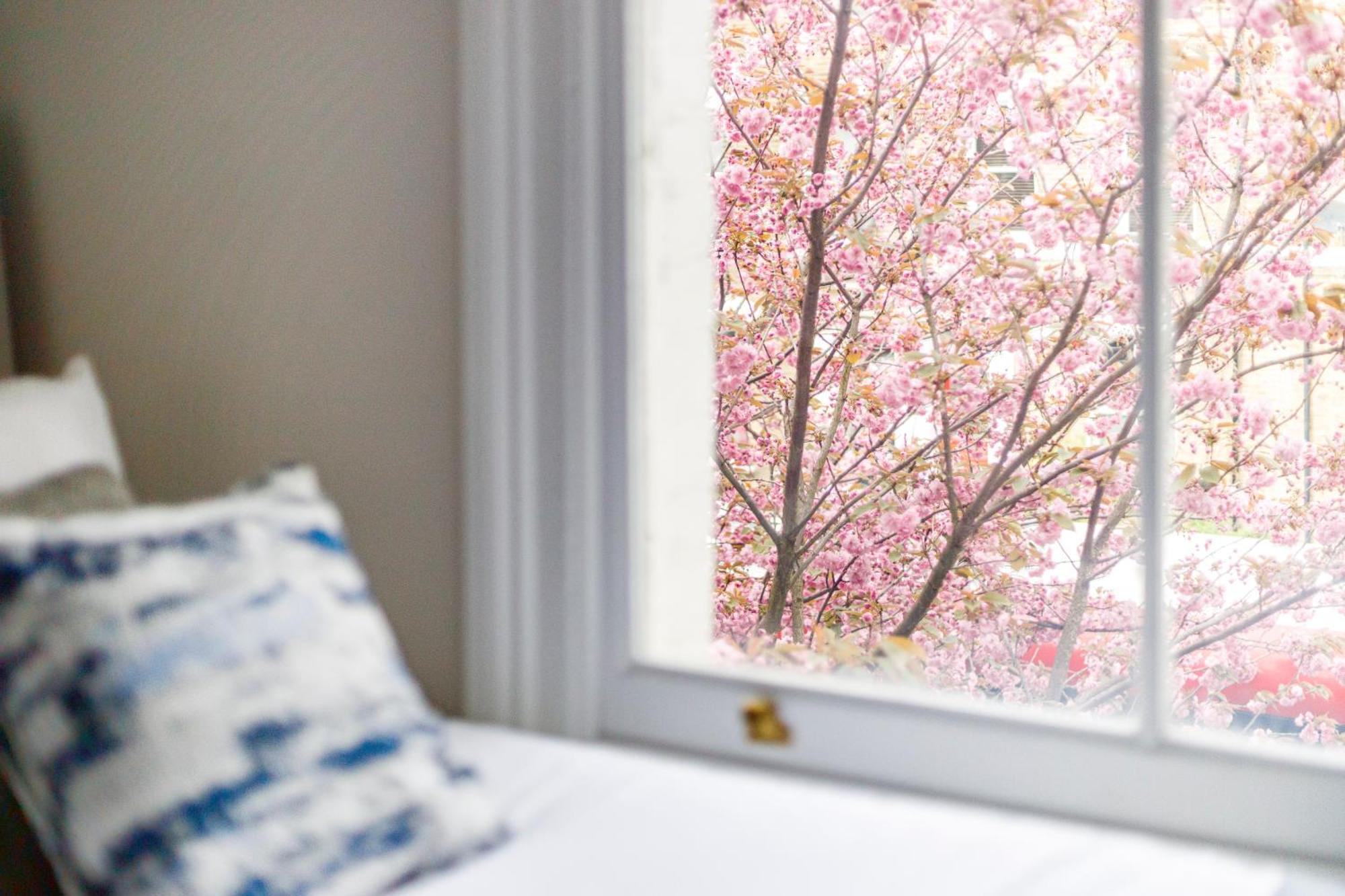 Apartment Cityscape Oasis Chic For Urban Dwellers