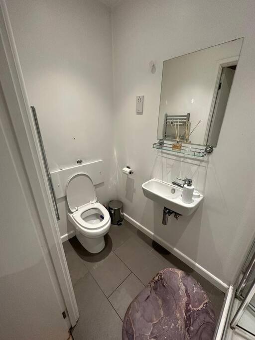 Piccadilly Living 1 Bedroom Flat In Vr11 Londen