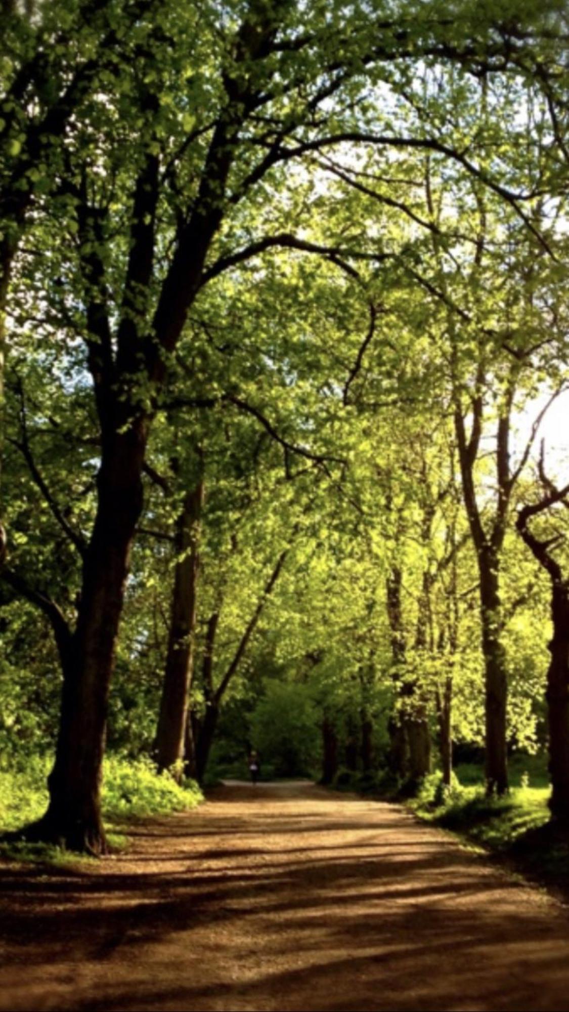 Relax In Highgate Village Apartment London