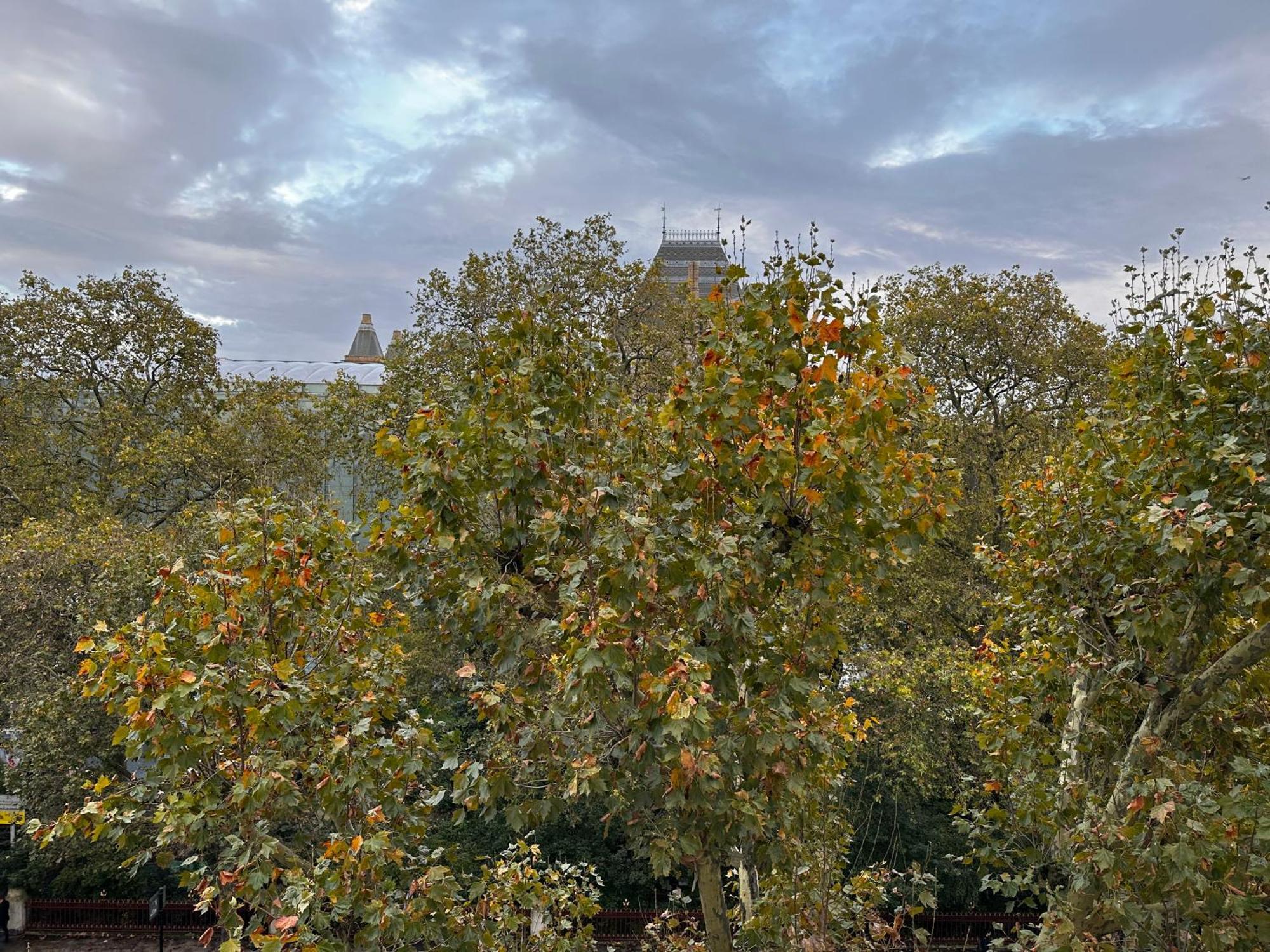 Appartement Renovu Premium Homes In Kensington Londen