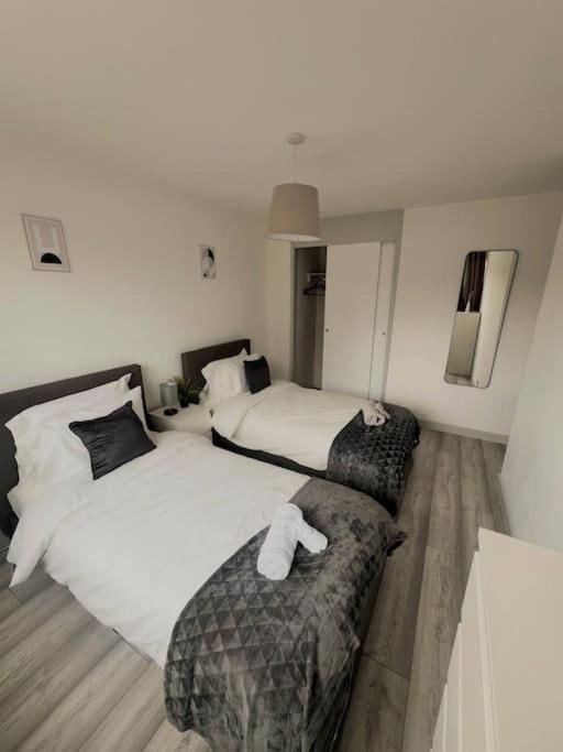 Appartement Spacious In Wandsworth
