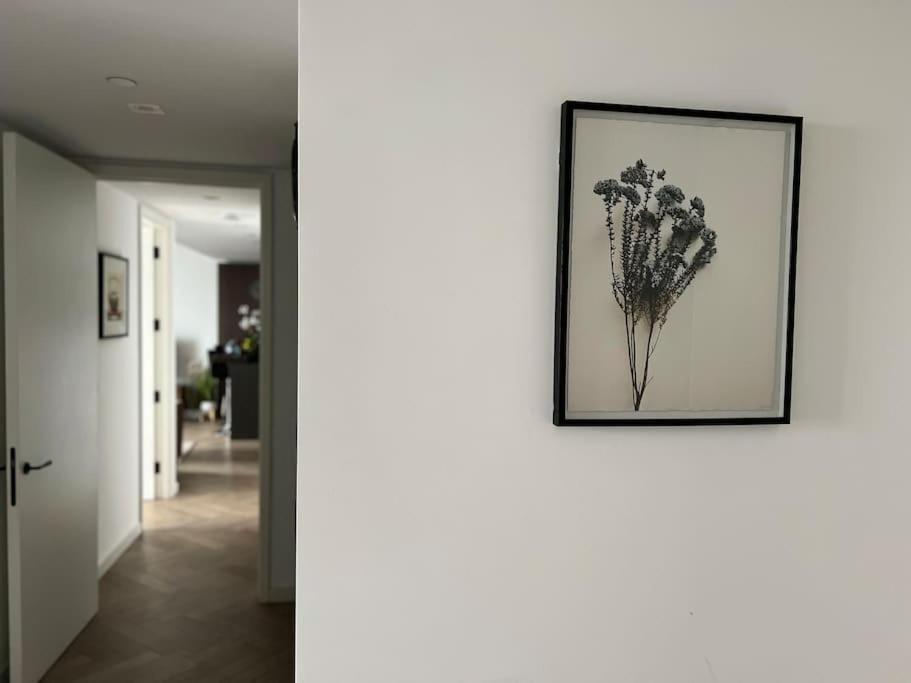 Modern 2 Bed Flat At Battersea Apartment