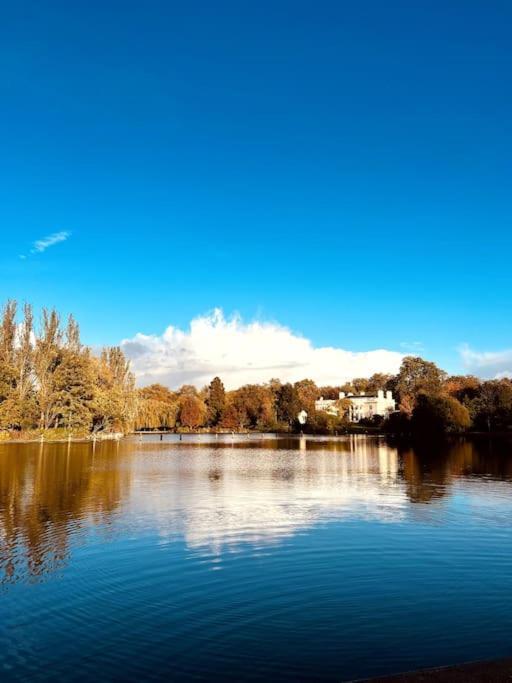 Lovely One Bedroom Flat In The Heart Of Apartment *