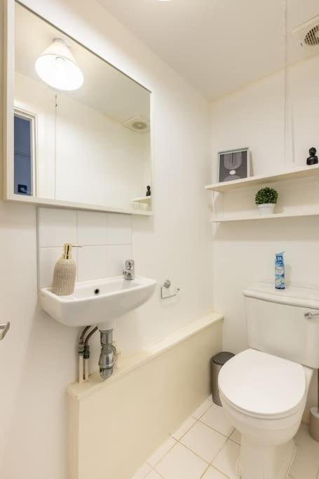 Lovely Garden Flat In Leilighet London