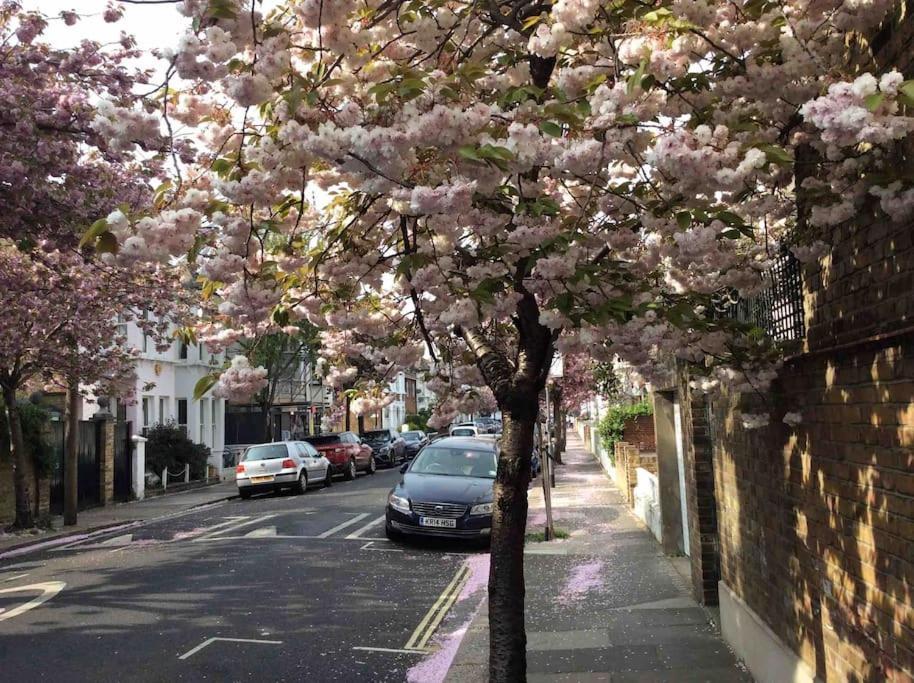 Glorious View Over The Park * Londen