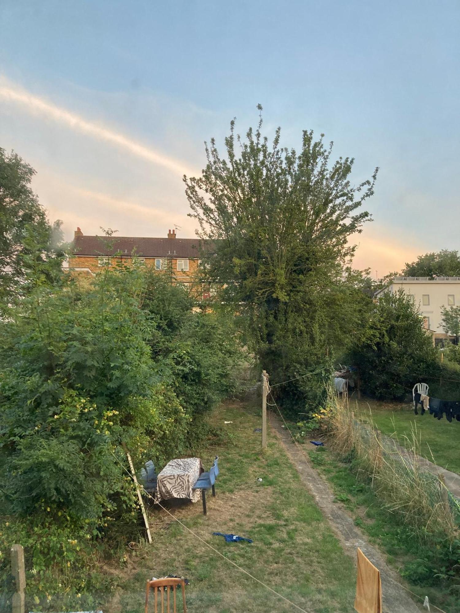 Greenhaven London