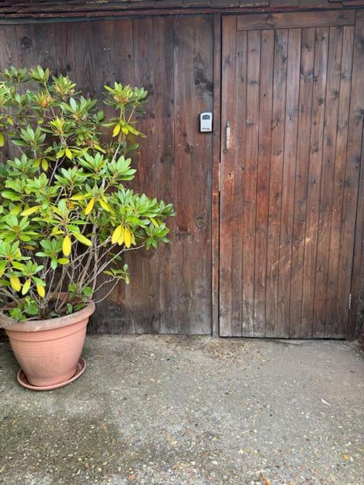 Garden Flat In Leilighet *