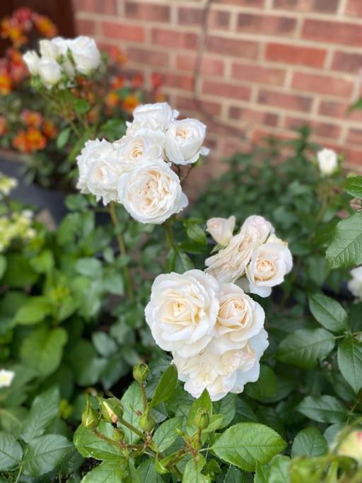 Leilighet Garden Flat In London