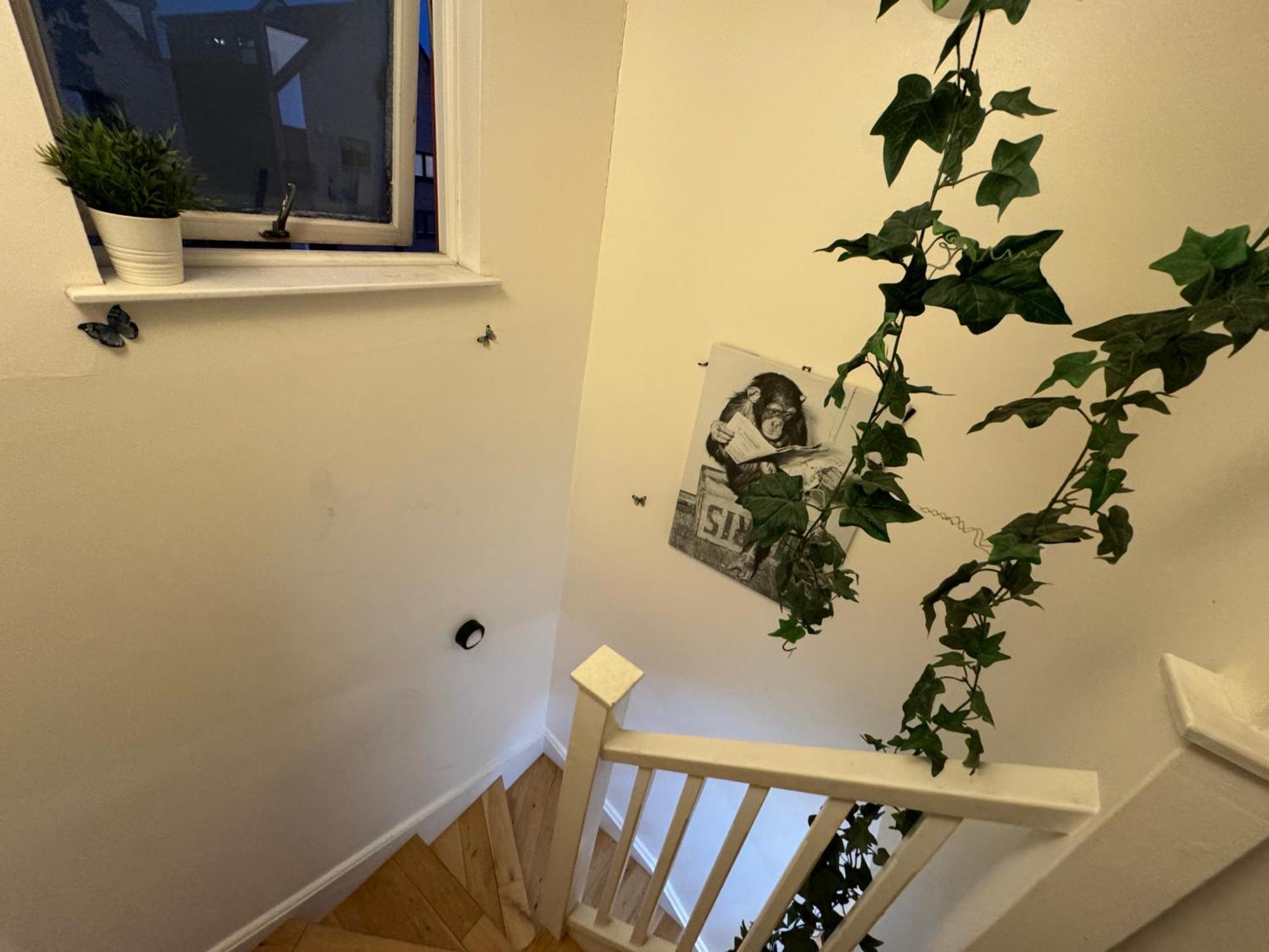 Cozy Rooms Near Central London * London