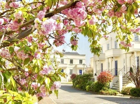 Accommodatie bij particulieren Beautiful In Gated Community