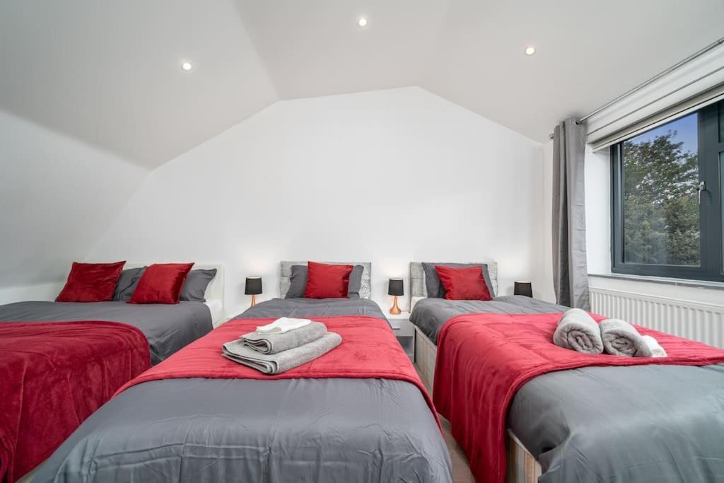 Apartment Vibrant 3br Tottenham Home, Private Garden Wifi Parking Free On Request London
