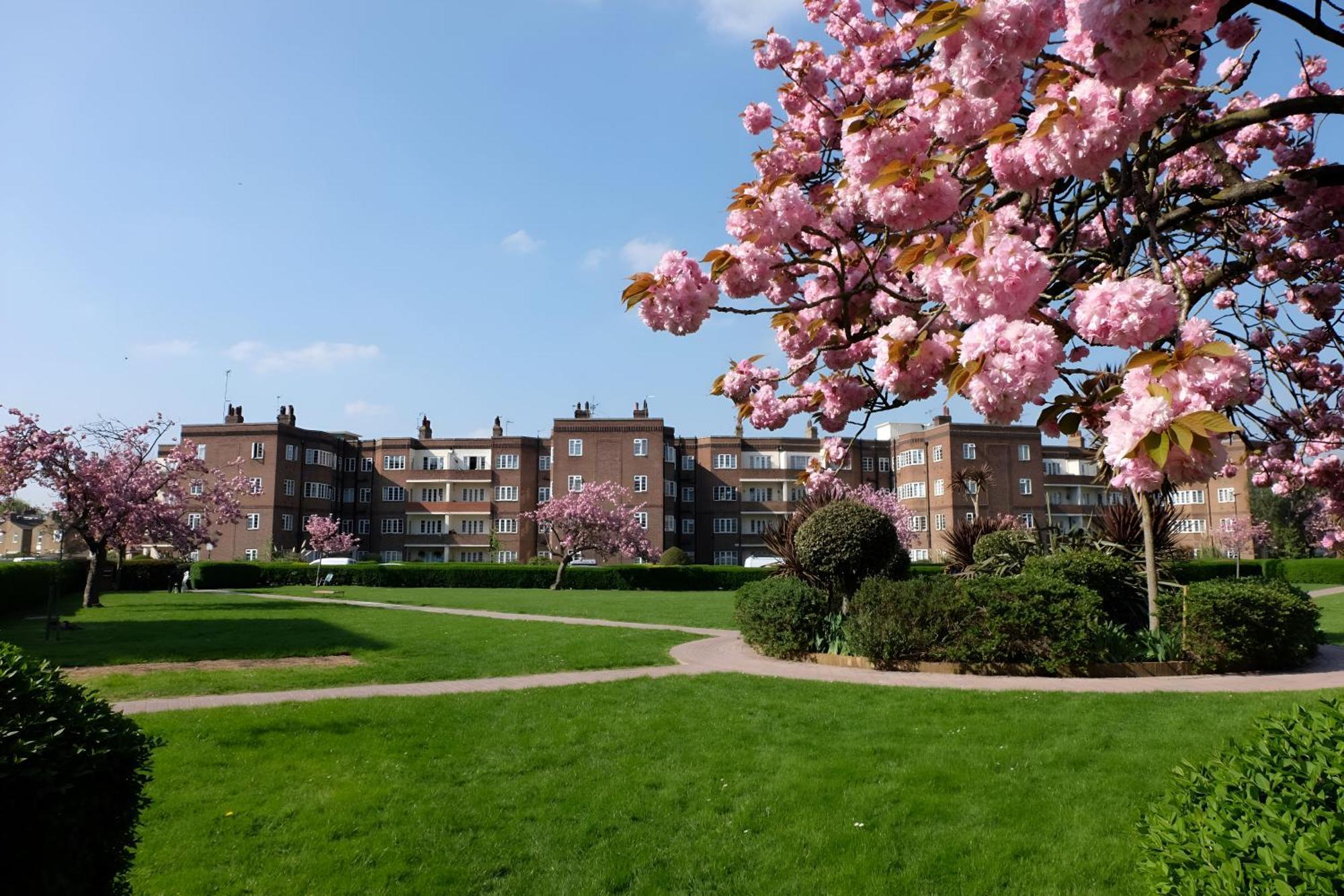 Apartment Three Bedroom - Perfect For Large Groups *