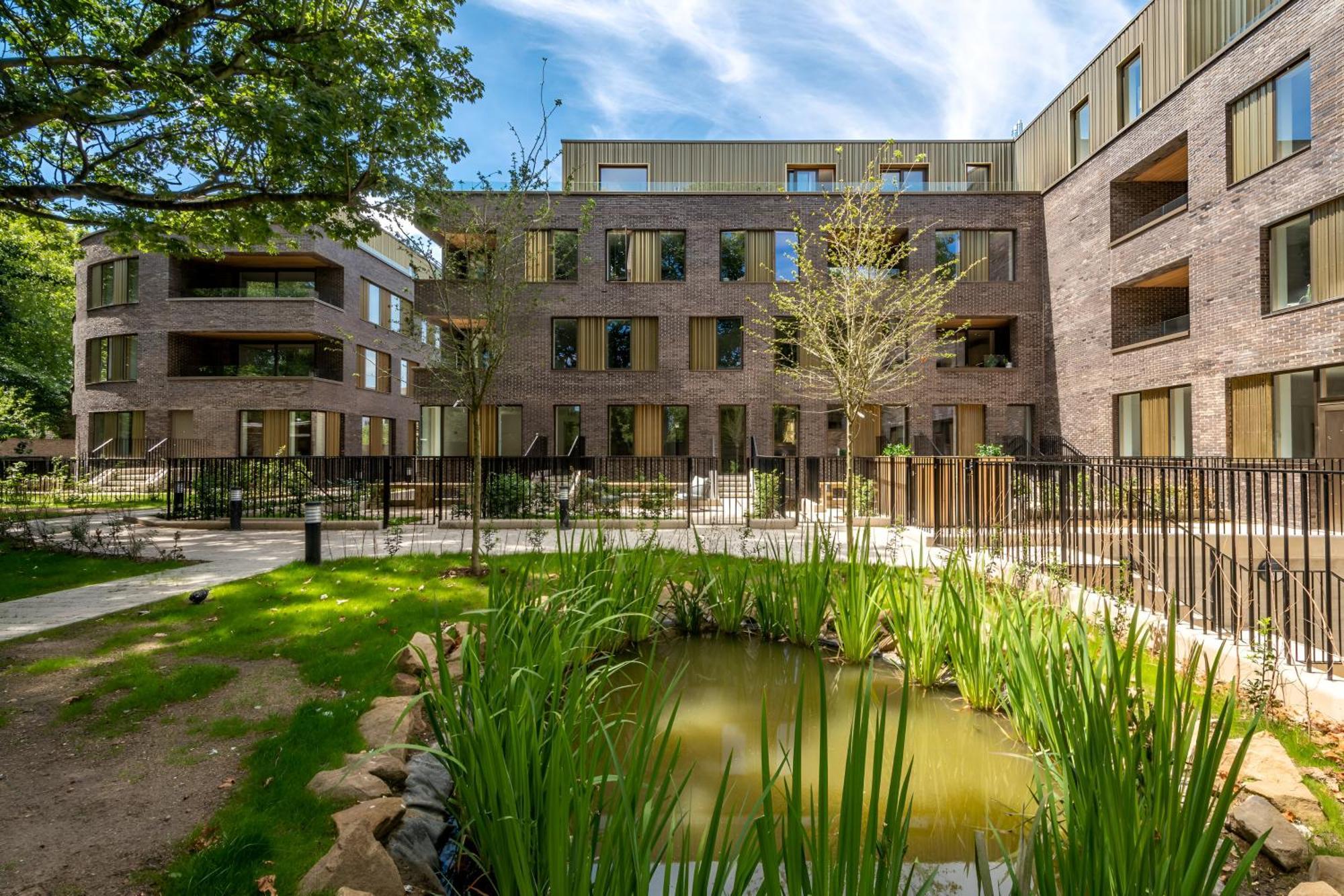 Urban Oasis Modern Minimalist