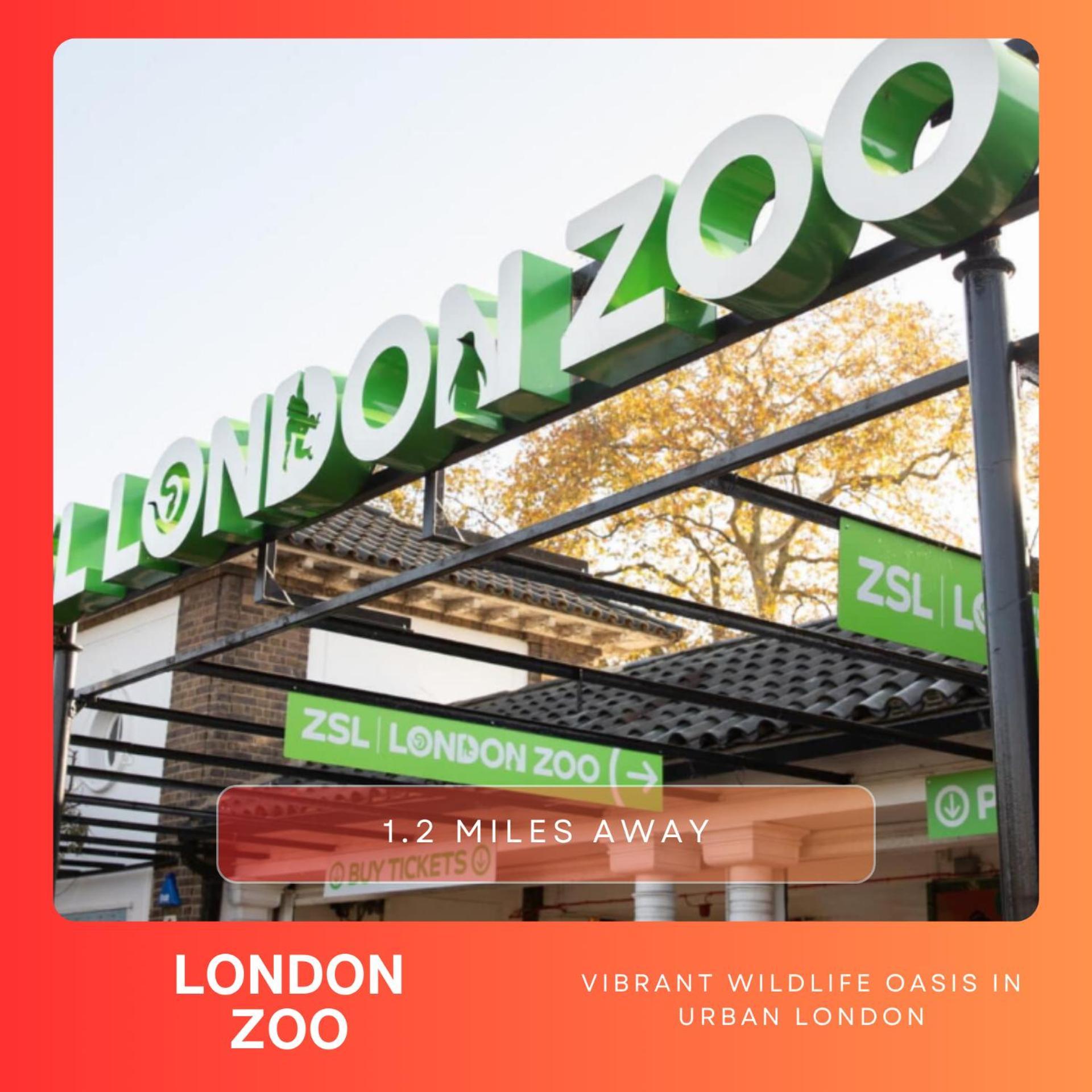 Appartement Amazing Flat For 6 At Camden Londen