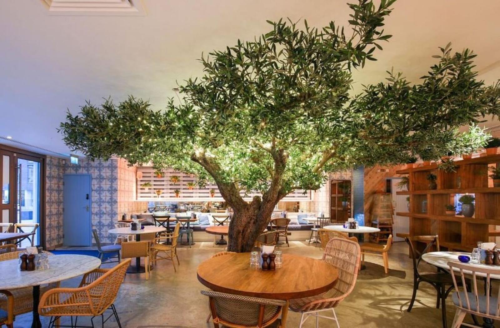 Earthy Elegance Stylish 4br For Urban Escapes Appartement *