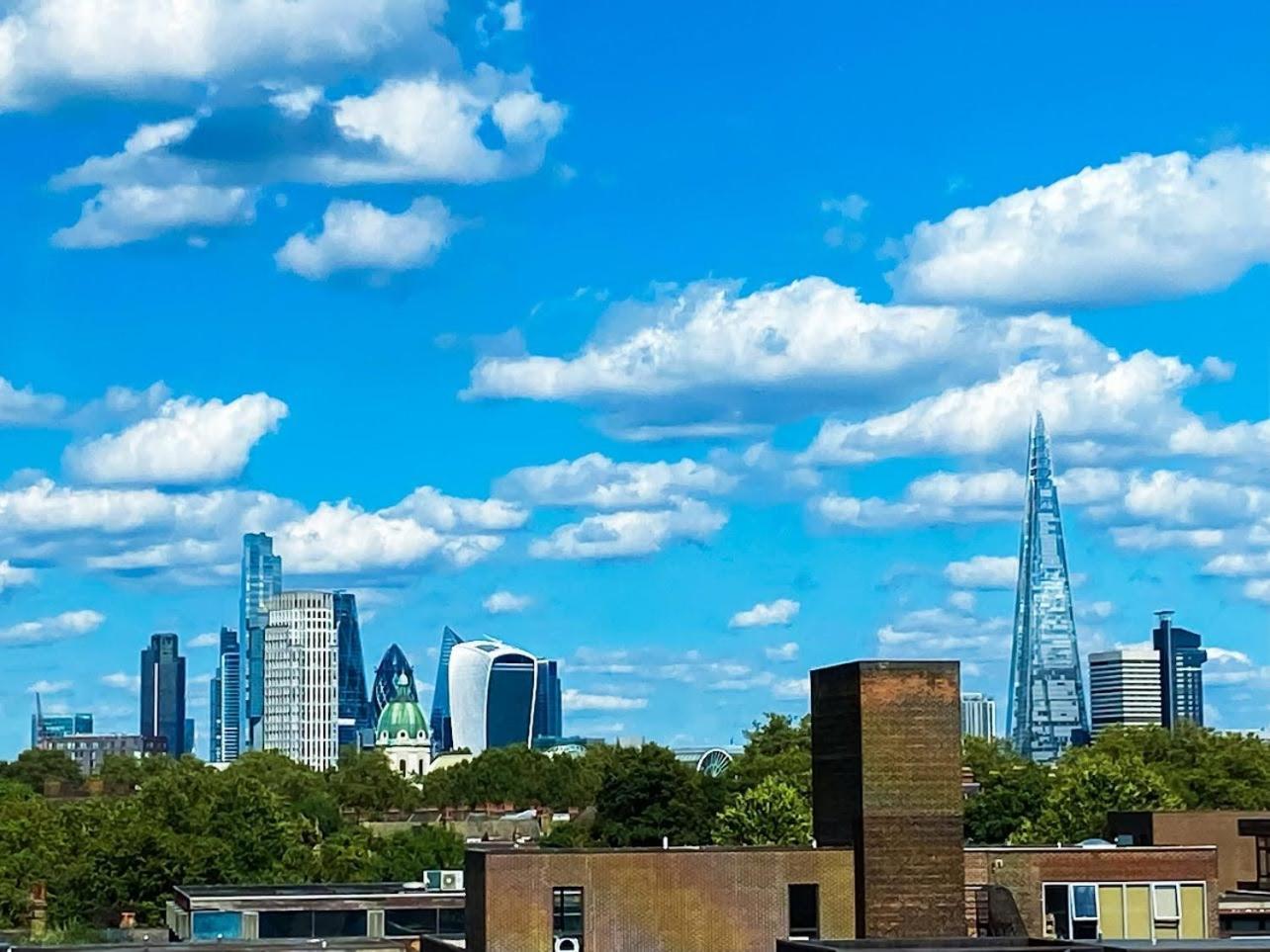 Accommodatie bij particulieren Large With Skyline View Londen