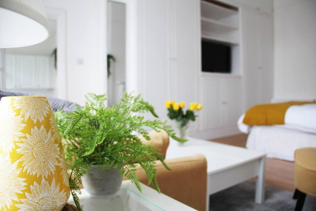 Bright Garden Studio!
