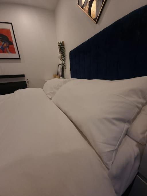 Cozy Modern Flat In Angel Islington London